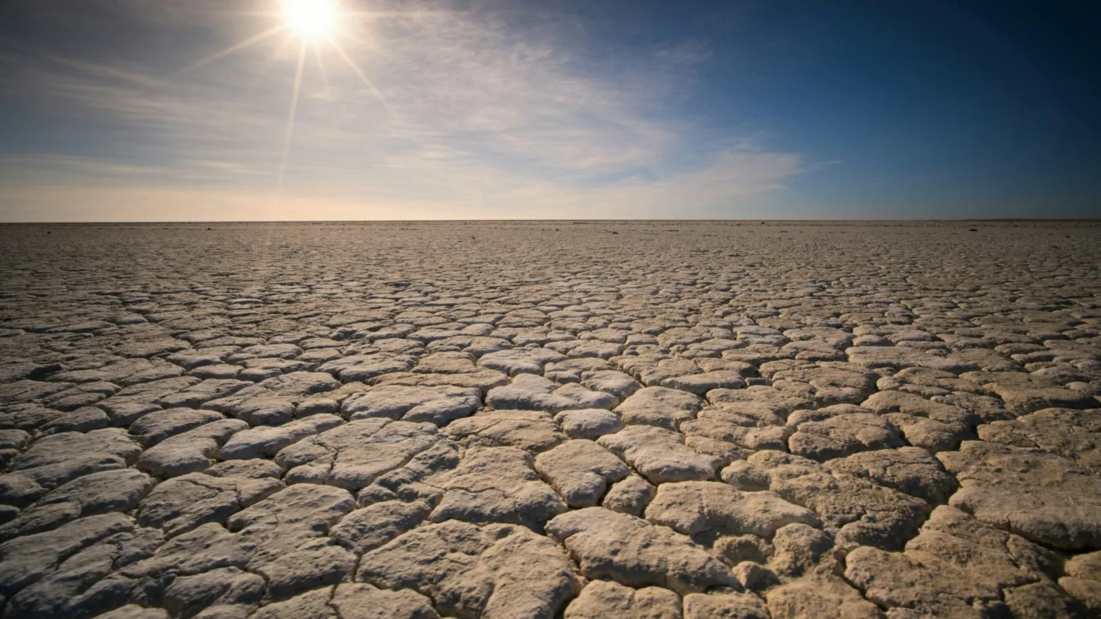 Sunlit cracked earth in a drought-affected landscape