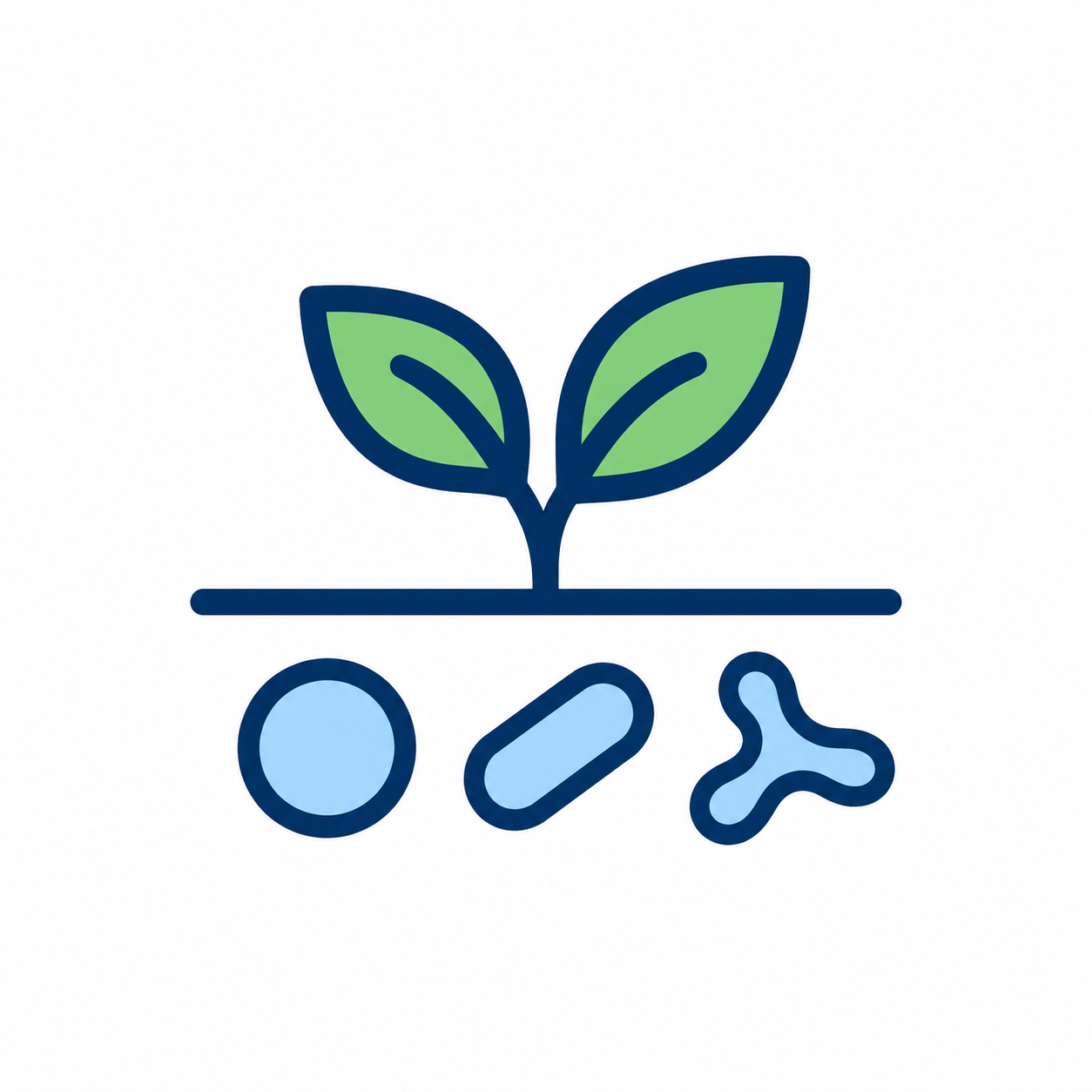 Illustration of diverse microorganisms active around crop roots
